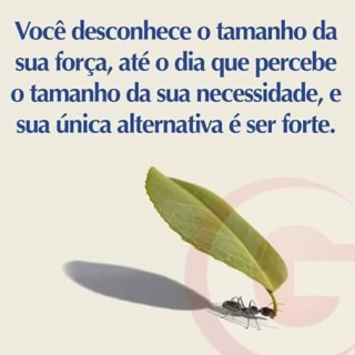 Deus não cria uma obra "fraca". Você é forte